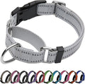 Martingale Dog Collar, Adjustable Nylon Reflective Collar by JOYEEIIOO