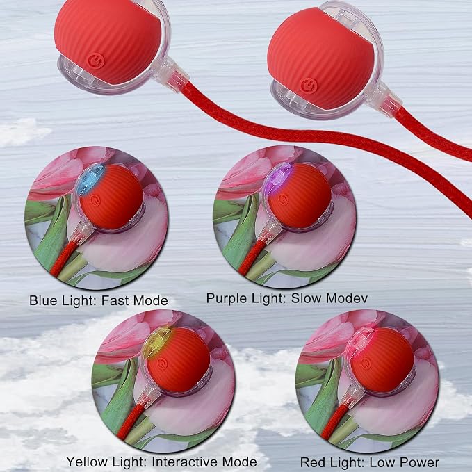 Interactive Cat Dog Toy Ball: Indoor Small Automatic Moving Smart Rolling Fun - Image 4