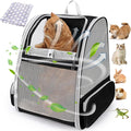 Lollimeow Cat Backpack Carrier, Airline Approved, Safe by Lollimeow