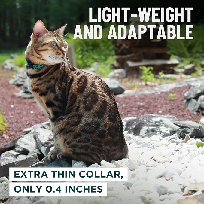 OutdoorBengal Green Breakaway Kitten Collar - Image 6