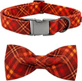Fall Dog Collar, Pet Collar by BoboRainbow
