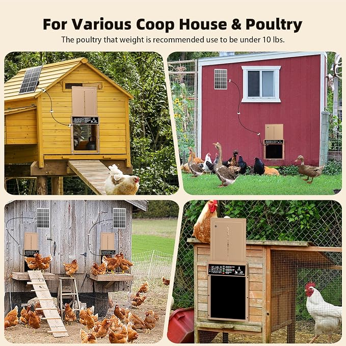 2025 Upgrade 7W Solar Power Chicken Door, Pet Deluxe Automatic Chicken Coop Door - Image 7