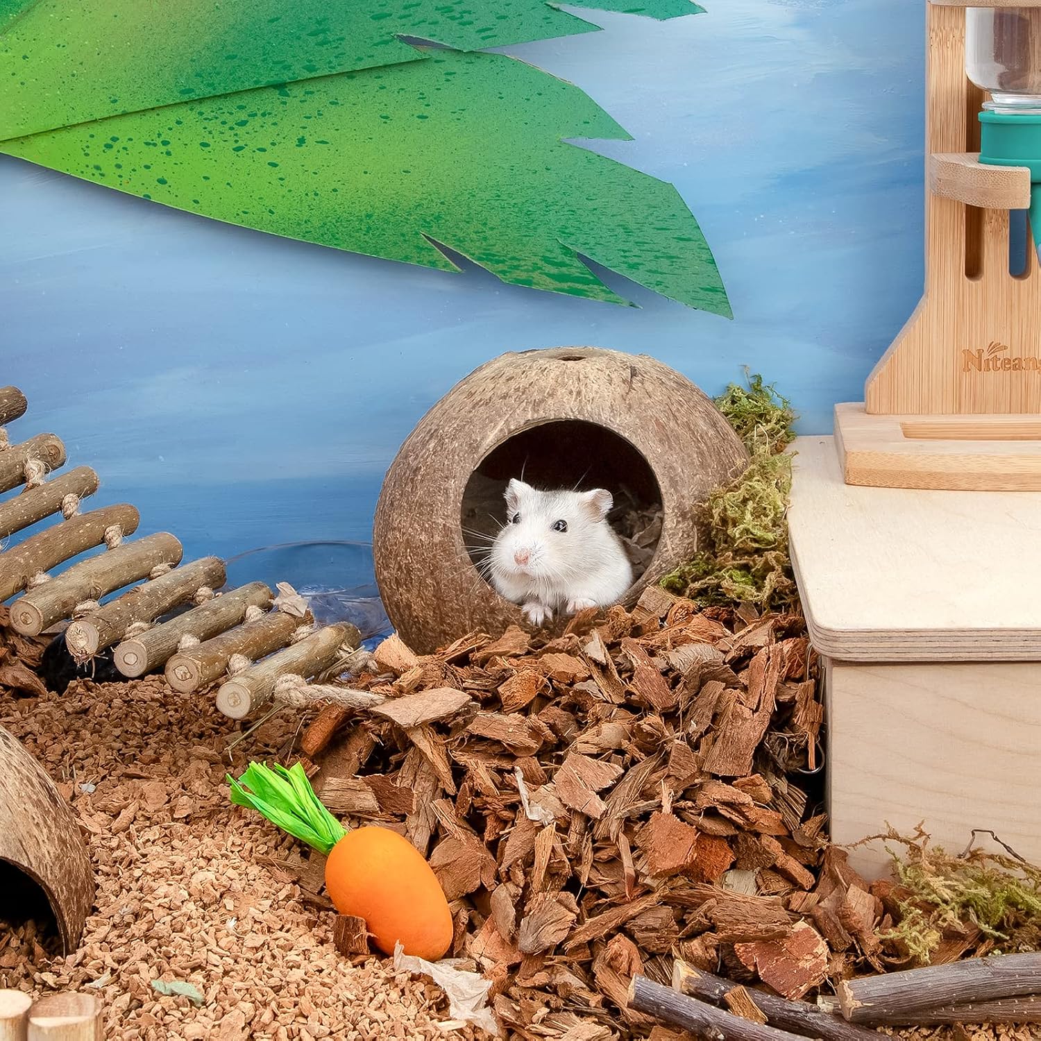 andwe Coconut Hut Hamster House, Small Animal Cage Decor - GlobalHabitat Supply