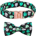 MR. CHUBBYFACE St.Patrick's Clover Dog Collar by MrChubbyfacePetSupplies