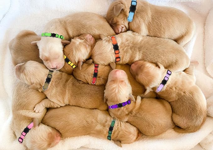 Puppy Collars for Litter, Puppy Collars for Small Puppies Soft Nylon Safety - Image 7