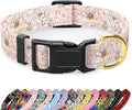 Reflective Dog Collar for Medium Dogs, Cute Flower Theme Adjustable Heavy-Duty by TMOODEL
