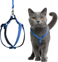 Filbert Cat Harness and Leash Set by Filbert