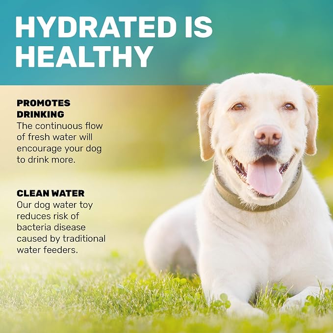 Scuddles Outdoor Dog Water Fountain – Step-On Dog Sprinkler Toy - Image 7