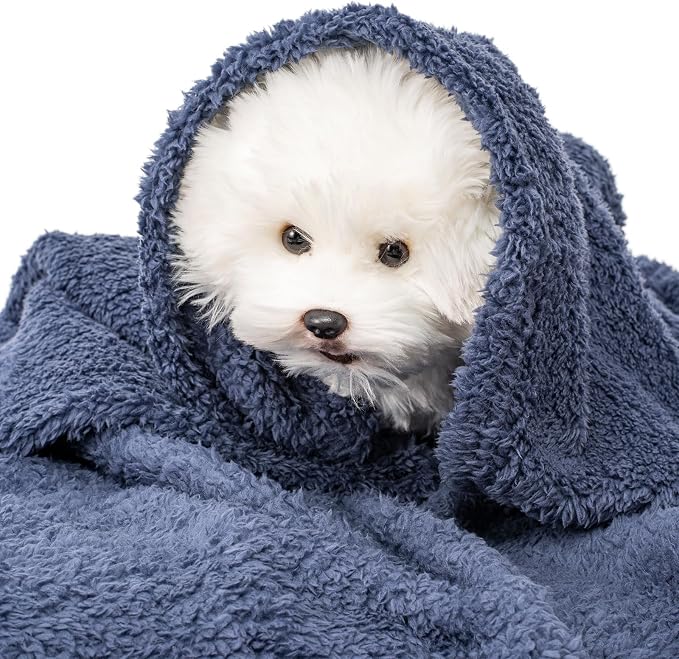 2 Blankets, Dog Cat Pet Blanket, Soft Warm Fleece, - Image 7