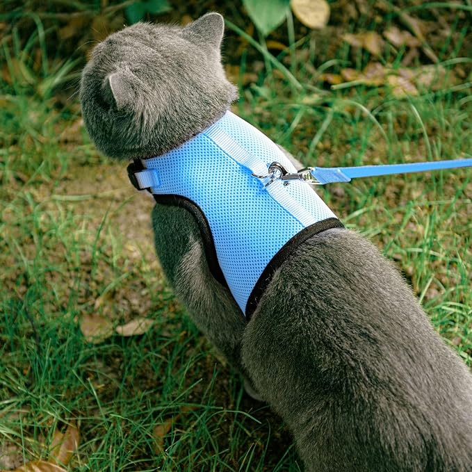 PUPTECK Soft Mesh Cat Vest Harness and Leash Set Puppy Padded Pet Harnesses - Image 6