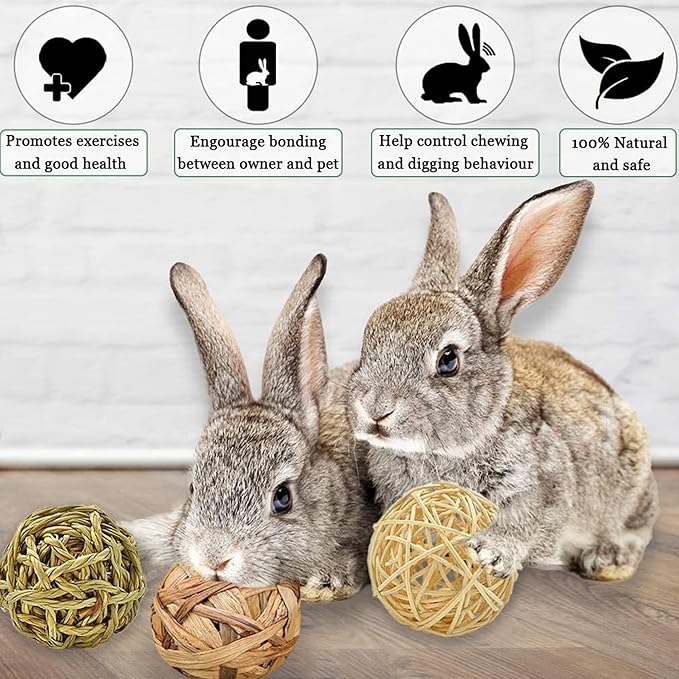 SunGrow Assorted Rabbit Chew Balls, Teething Activity Toy - Image 6