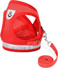Cat Harnesses and Puppy Harness by GAUTERF