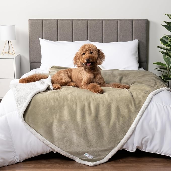 PetAmi Waterproof Dog Blanket for Queen Bed Large XL Dog Throw for Couch Cover by PetAmi