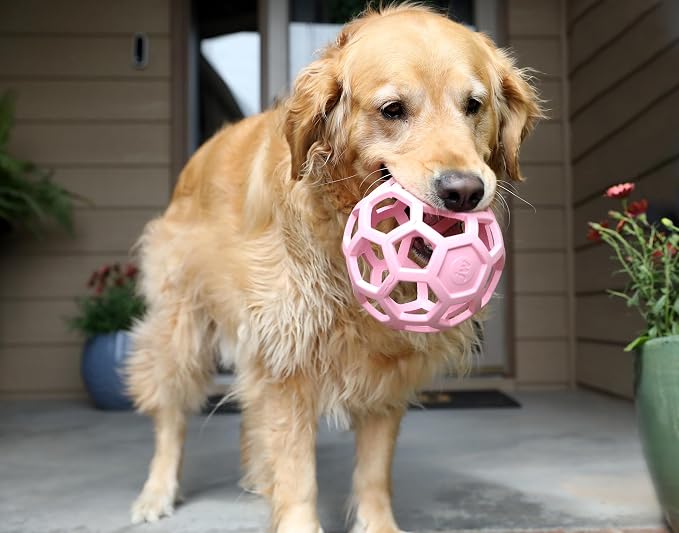 JW Pet HOL-ee Roller™, Dog Toy Puzzle Ball, Natural Rubber - Image 3
