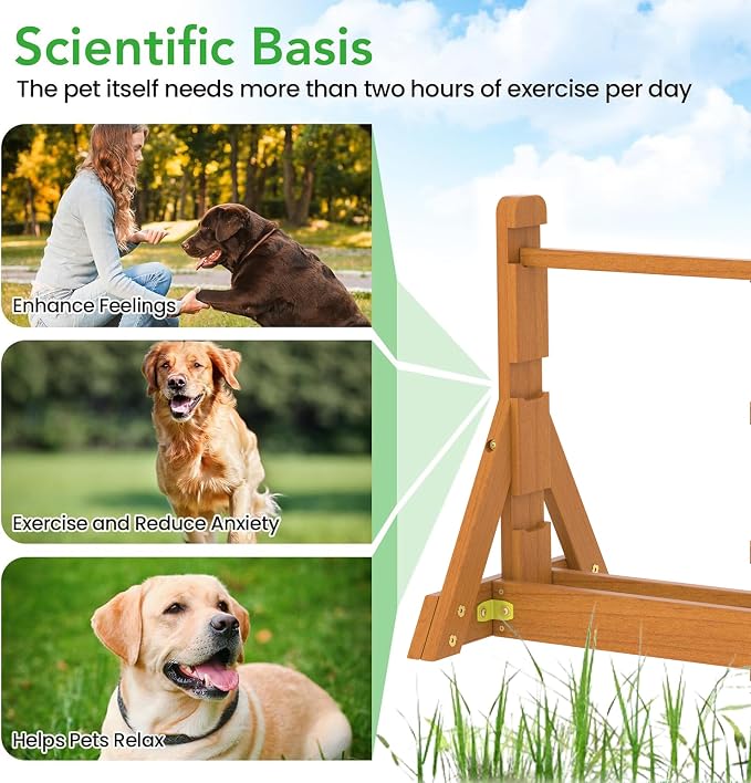 Dog Agility Set, Wooden Dog Agility Jumps & Dog Hurdles, Dog Agility Equipment - Image 8