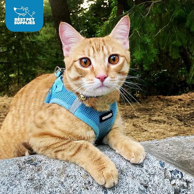 Best Pet Supplies Voyager Step-in Air Harness - Image 11
