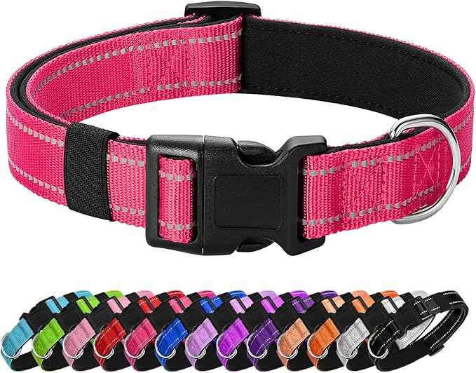 Reflective Dog Collar Padded