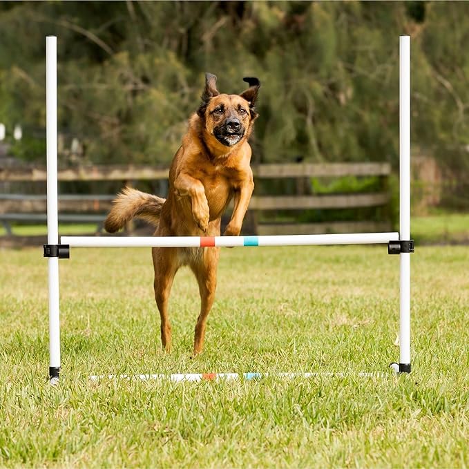 Midlee Dog Agility Bar Jumps- Set of 4 Jumps - Image 5