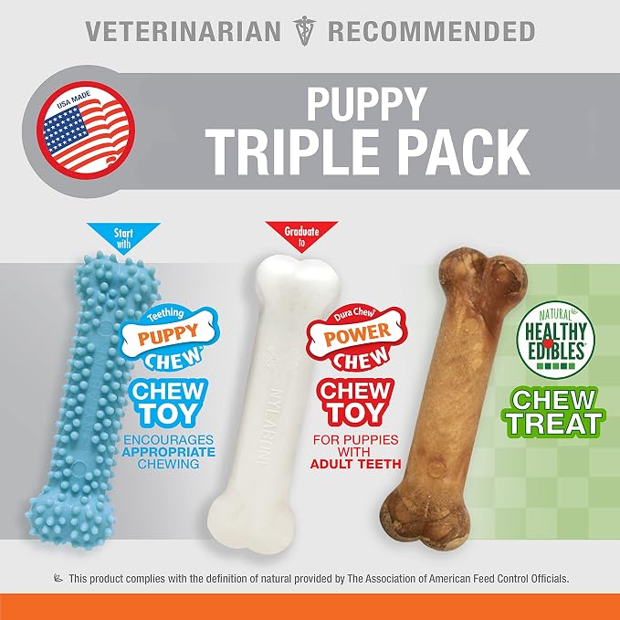 Nylabone New Puppy Starter Kit, Chew Toys & Natural Chew Treat - Image 3