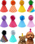 PET SHOW 10 Pack Mini Party Hats by PETSHOW