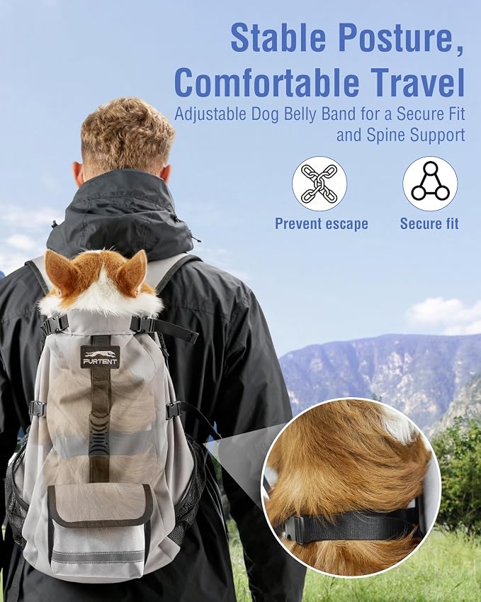 Dog Backpack for Small & Medium Dogs – 4-Layer Safety Pet Carrier - Image 4