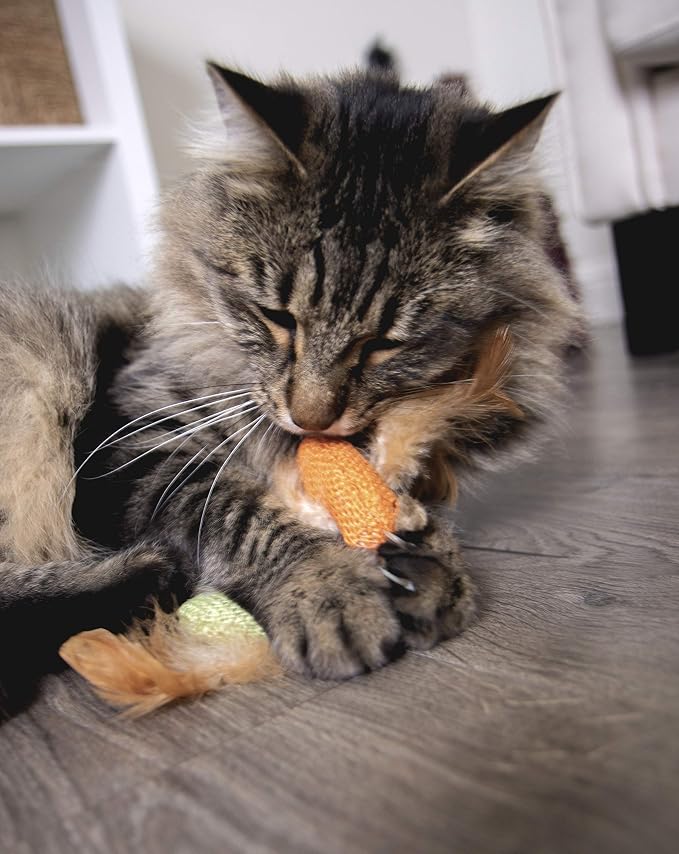 Petlinks HappyNip Love Birds Cat Toys, Contains Silvervine & Catnip - Image 3