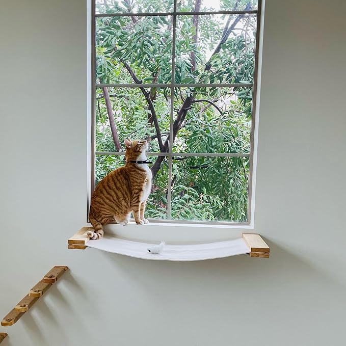 FUKUMARU Cat Wall Furniture, 34 x 13 inch Cats Hammock Shelves, Rubberwood - Image 5