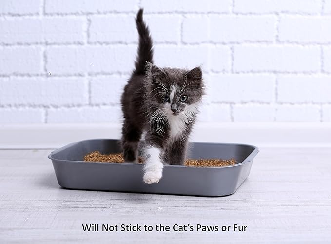 Cat Litter Deodorizer – 2.2 Lb Activated Charcoal Carbon – Odor Eliminator - Image 4