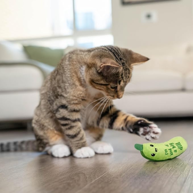 Catstages Crunchy Pickle Kicker Cat Toy – Plush Crinkle Toy - Image 8