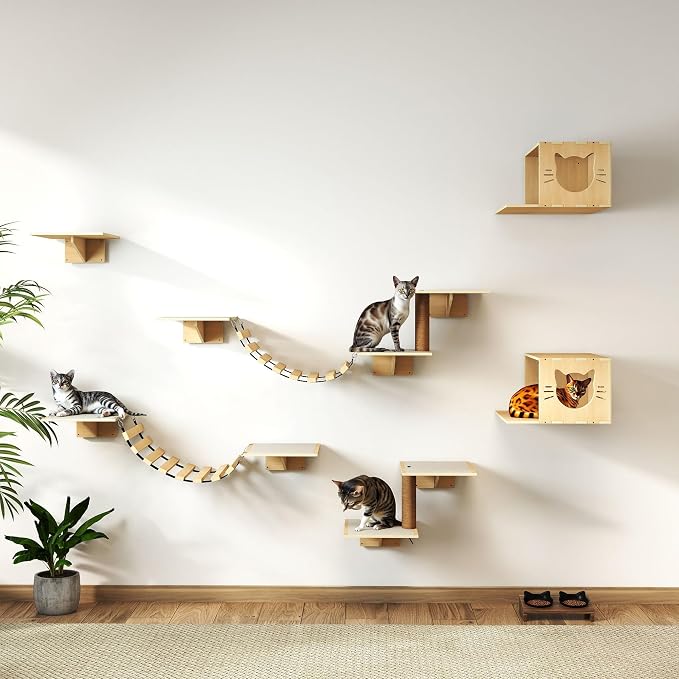 Cat Wall Shelves, Wood 8-in-1 Cat Wall Furniture Set, Large Cat Shelves - Image 5