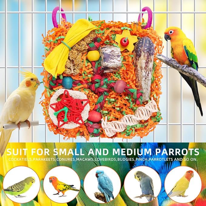 Bird Toys for Small & Medium Parrots - Image 4