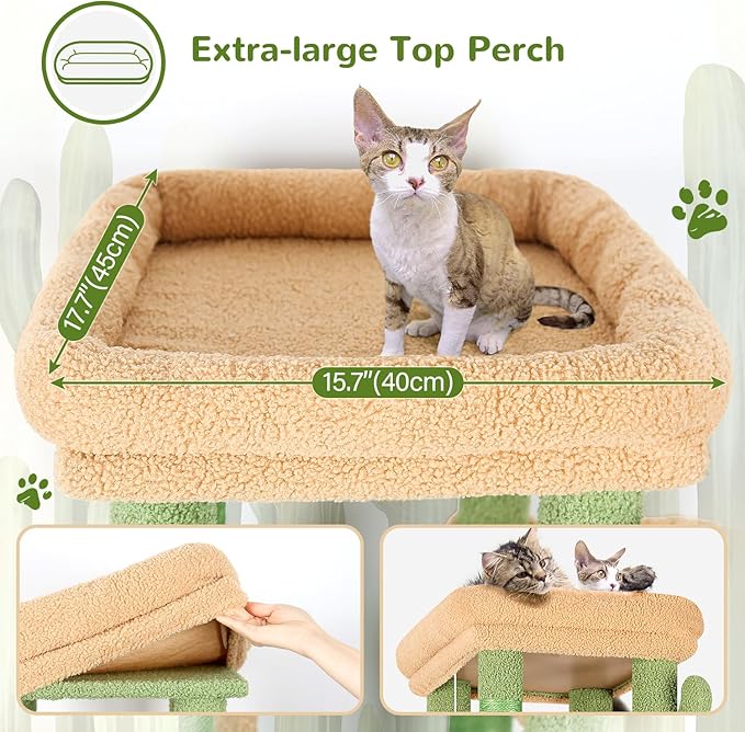 Globlazer Cactus Cat Tower for Indoor Cats, Heavy Duty Cat Trees for Large Cats - Image 2
