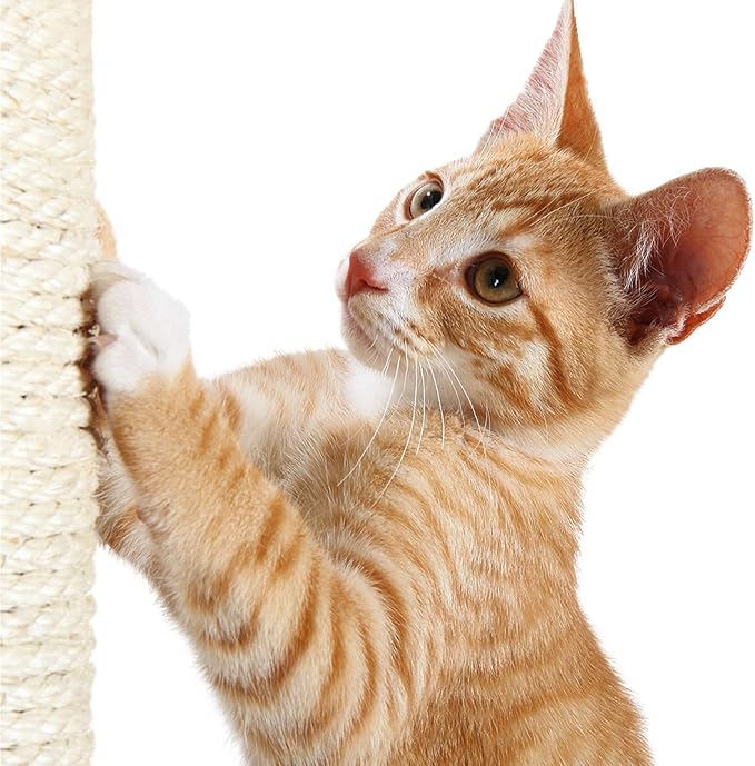 TRIXIE Replacement Sisal Post for Cat Scratching Posts, Backup Scratcher for - Image 6