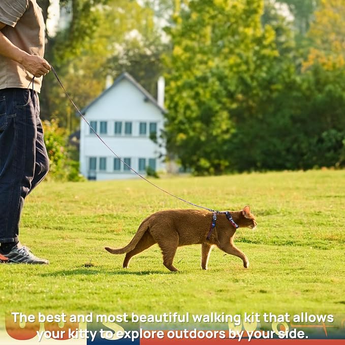 Cat Harness and Leash Set - Image 3