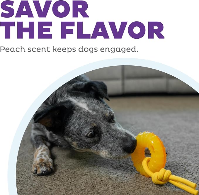 Outward Hound Gummiez Peach Ring 2-in-1 Dental Dog Chew Toy and Treat Stuffer - Image 5