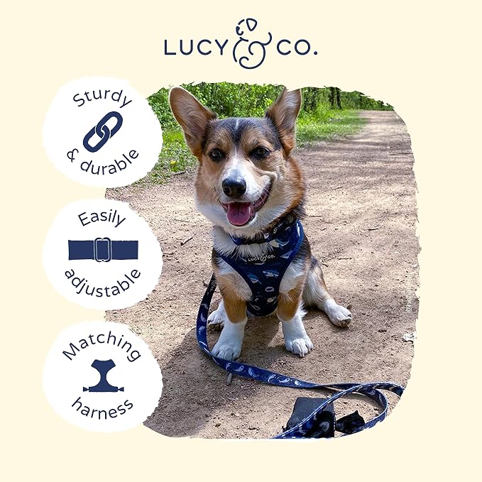 Lucy & Co. Shark Attack Dog Collar - Image 3