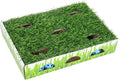 Catstages Grass Patch Hunting Box by Catstages
