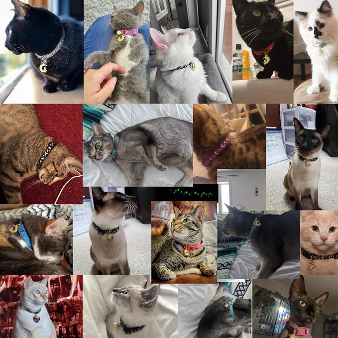 waaag Gold Moons and Stars Safety Breakaway Cat Collar, Glow in The Dark - Image 3