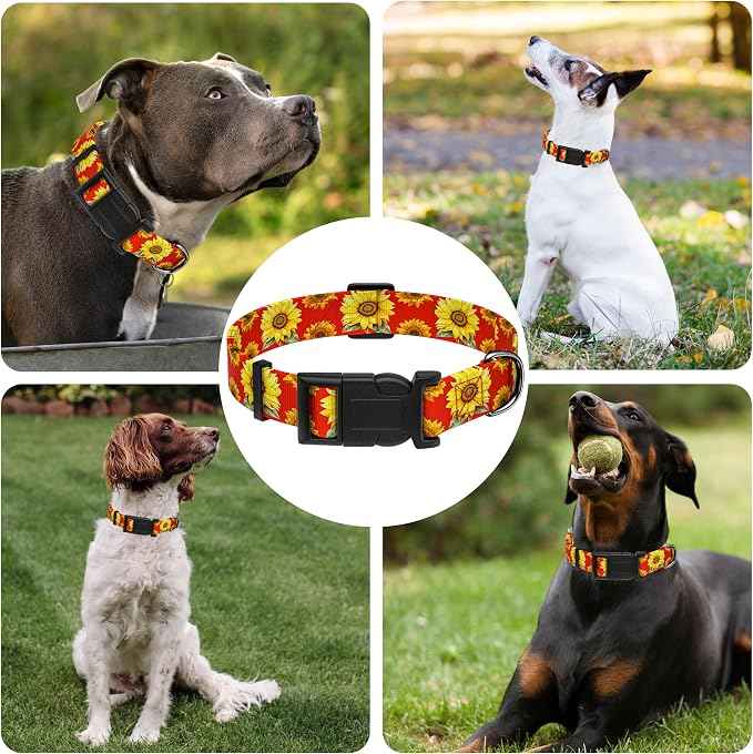 Dog Collar, Floral Boys Girls Puppy Collar