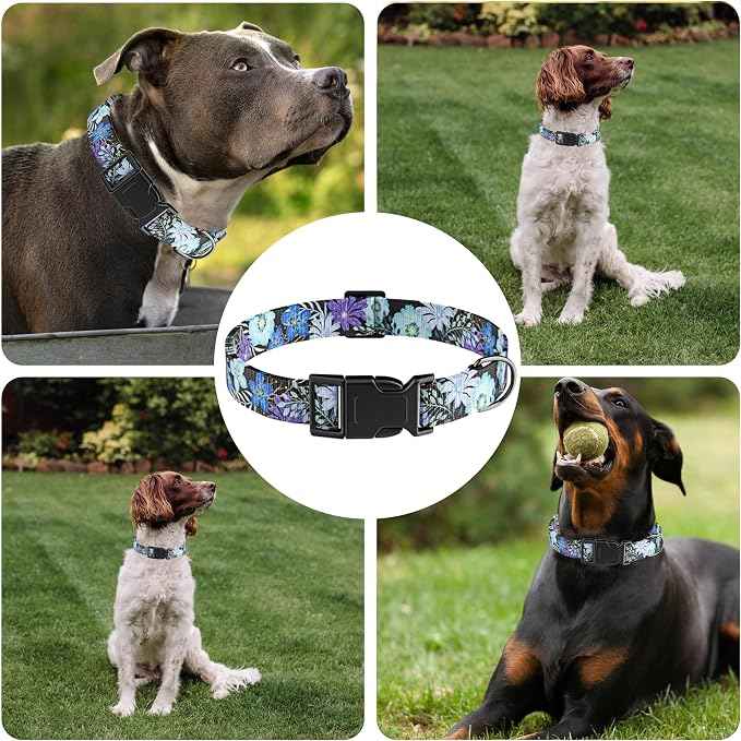 Dog Collar for Boys & Girls, Puppy Collar for Small to Large Dogs, Adjustable