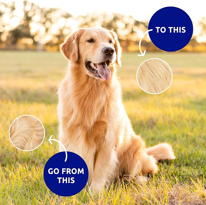 Pat Your Pet Deshedding Dog Brush - Image 9