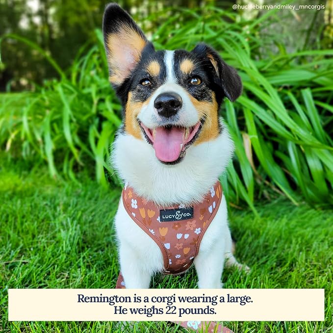 Lucy & Co. Cute Reversible Dog Harness Walking Halter - Image 4