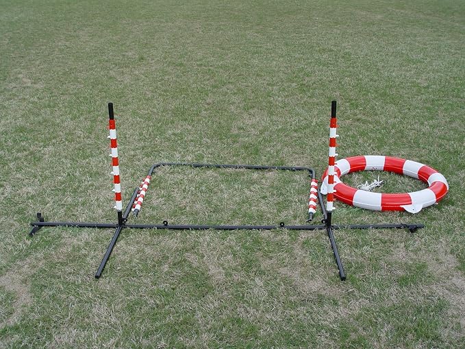 Agility Tire Jump - Image 7