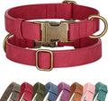 Didog Soft PU Leather Dog Collar, Stylish Quick Released Dog Collars by Didog