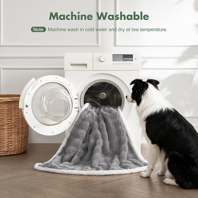Soft Cozy Waterproof Twin Blanket - Image 6