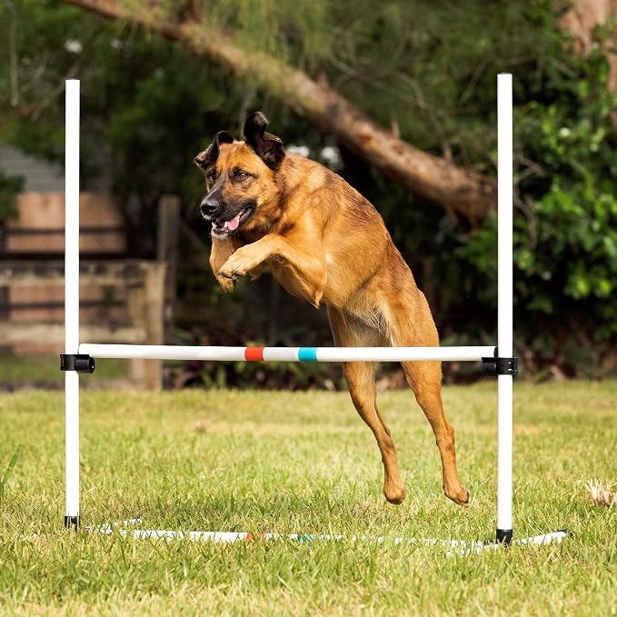 Midlee Dog Agility Bar Jumps- Set of 4 Jumps - Image 7