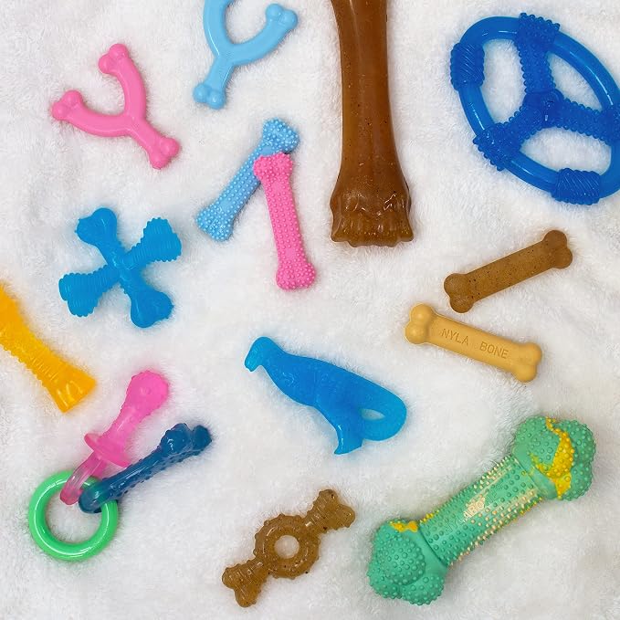 Nylabone Flavor Frenzy Barbell Puppy Chew Toy, Rubber Toys - Image 5