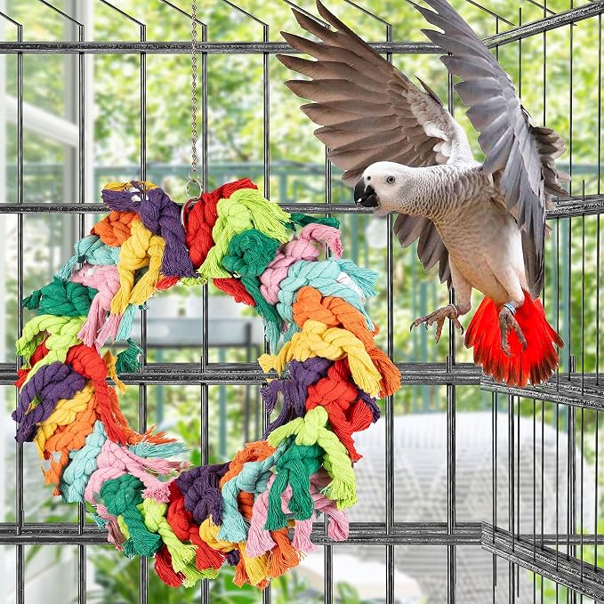Parrot Swing for Large Birds - Image 7