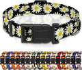 Dog Collar, Daisy Boys Girls Puppy Collar by Seyezo