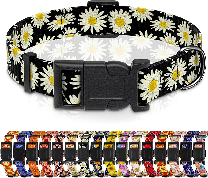Dog Collar, Daisy Boys Girls Puppy Collar by Seyezo